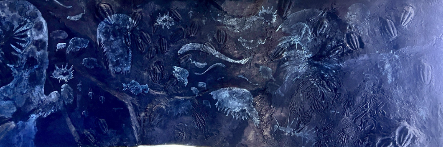Layer 2